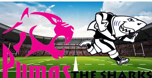 Pumas vs Sharks - Full Match Replay - Currie Cup - 17 July 2026